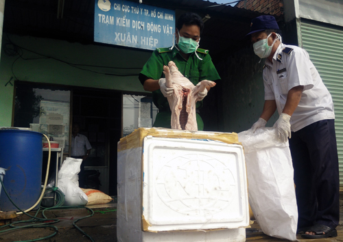 Bắt cả tấn thịt heo bốc mùi thối đưa từ miền Trung vào Sài Gòn